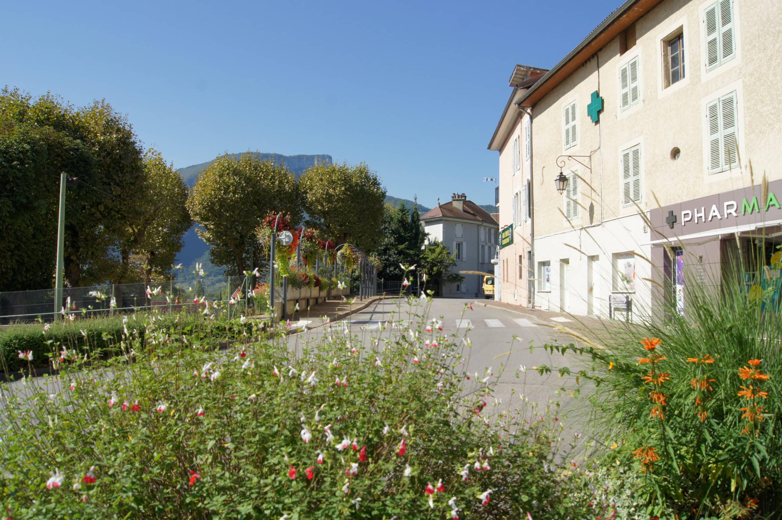 Voreppe centre-ville pharmacie